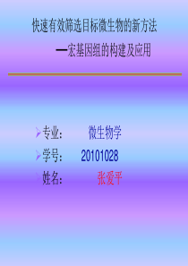 宏基因组的构建及应用分析解析