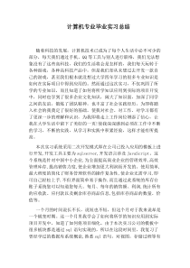 计算机专业毕业实习总结