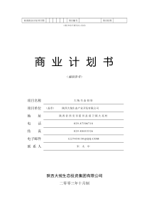 037-陕西大统投资--商业计划书（PDF44页）