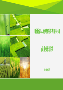 048-新农人--商业计划书（PDF32页）