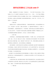 教师试用期转正工作总结2000字