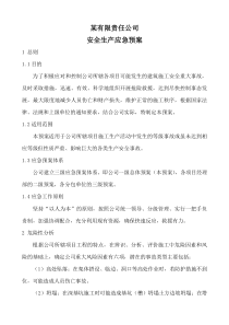 公司级别安全应急预案