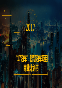 17泊车智慧停车.商业计划书（PDF33页）