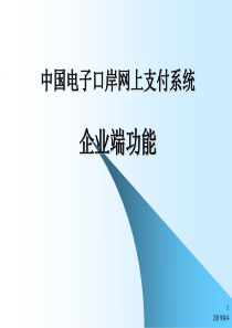 案例中国电子口岸网上支付系统