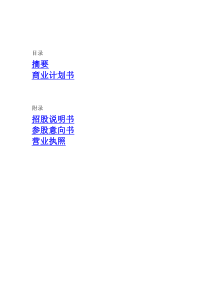 aed_1223_金融行业企业的商业计划书