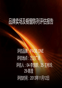 PAGEONE佩吉品牌调查报告