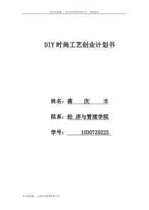 DIY时尚工艺创业计划