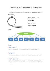 压力式液位计-压力式液位计4-20mA-压力式液位计RS485