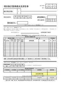 项目执行效率流水及评价单