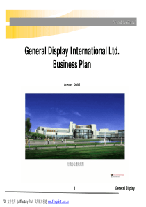 GDI Business Plan(经典的商业计划书)