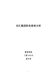 双汇集团财务报表分析