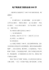 电子商务实习报告总结5000字