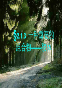 一种重要的混合物胶体.ppt