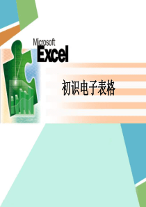 《初识电子表格Excel》课件(1)