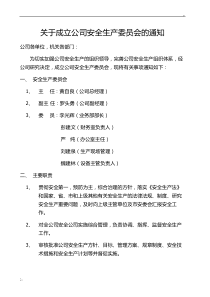 关于成立公司安全委员会的通知