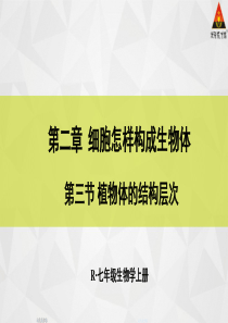 人教版七年级生物上册第三节-植物体的结构层次