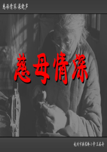 王崧舟慈母情深