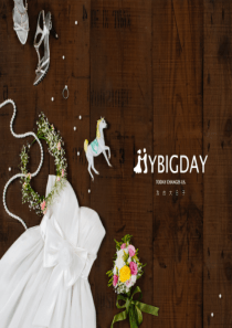 MyBigDay--专注在婚庆垂直领域的互联网平台商业计划书（PDF22页）