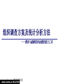 _组织调查问卷的设计方案（PPT29页）