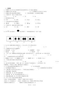 初中九年级上册化学-化学式与化合价习题及答案