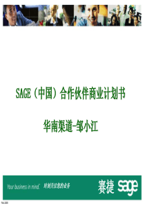 SAGE(中国)合作伙伴商业计划书