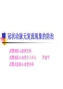 冠状动脉无复流现象的防治