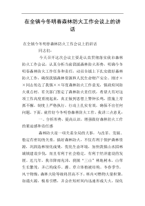 在全镇今冬明春森林防火工作会议上的讲话