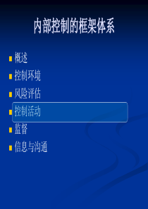 内部控制-控制活动