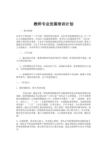 教师专业发展培训计划