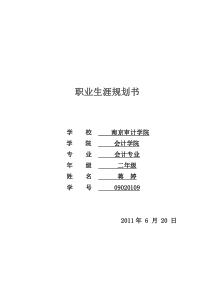 会计专业大学生职业生涯规划