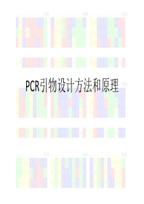 PCR引物设计方法和原理