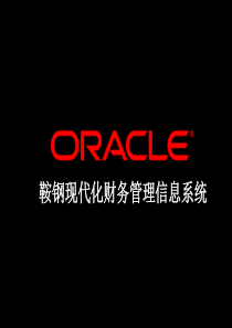 Oracle-鞍钢现代化财务管理信息系统-Nov13