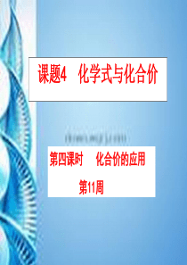 化合价的应用