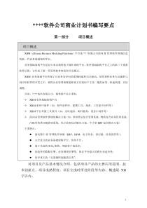 it管理软件领域商业计划书