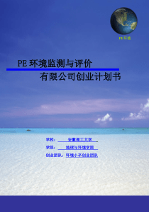 PE环境监测与评价有限公司创业计划书修改稿