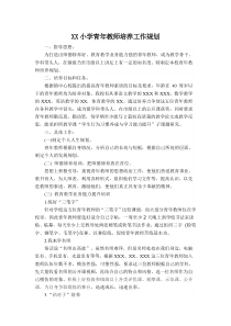 2017学校青年教师培养工作计划