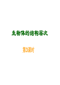 2.3.3生物体的结构层次(器官、系统)