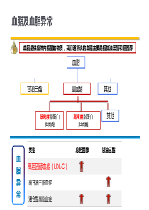 高脂血症患者教育-2020