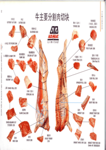 澳洲牛肉分割部位图解