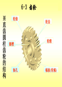 机械制图齿轮的画法ppt课件