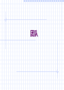 t团队管理