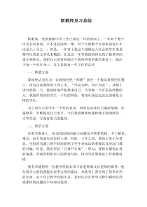 新教师见习总结