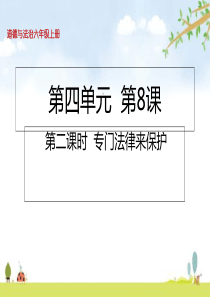 专门法律来保护PPT优质课件