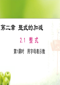 初中数学七年级上册用字母表示数