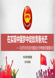 团课课件之五-在实现中国梦中绽放青春光芒