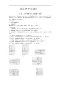 口腔解剖生理学实验指导