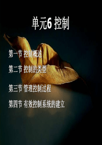 管理学基础单元6-控制