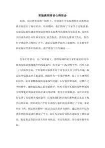 实验教师培训心得体会