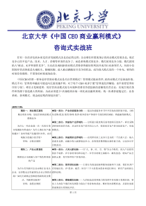 北京大学中国CEO商业赢利模式