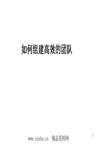 _怎样组建高效的团队（PPT34页）